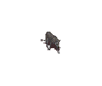 Dog - Fallout 2