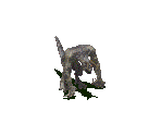 Deathclaw (Grey) - Fallout 2