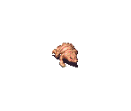 Pig Rat - Fallout 2