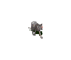 Dog (Robot) - Fallout 2