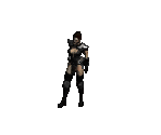 Assassin (Light) - Diablo 2 / Diablo 2: Lord of Destruction