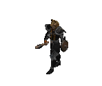 Druid (Medium) - Diablo 2 / Diablo 2: Lord of Destruction