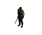 Paladin (Light) - Diablo 2 / Diablo 2: Lord of Destruction