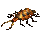 Sand Maggot - Diablo 2 / Diablo 2: Lord of Destruction