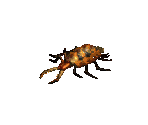Sand Maggot Young - Diablo 2 / Diablo 2: Lord of Destruction