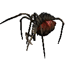 Spider Demon - Diablo 2 / Diablo 2: Lord of Destruction