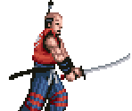 Kikucho/Kikuchiyo - Double Dragon Advance