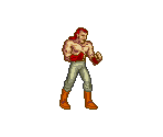 Mysterious Warrior - Double Dragon II: The Revenge (JPN)