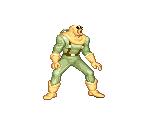 Wooky - Captain Commando