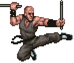 Chen Gui - Double Dragon Advance