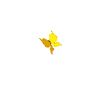 Butterfly - Claw