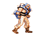 Dolg - Captain Commando