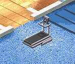 King Tower Waters' Gym - The Urbz: Sims in the City