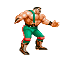Haggar - Ring of Destruction: Slam Masters II