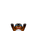 Rocky Wrench - Mario Kart DS