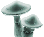 Cave Objects - Dust: An Elysian Tail