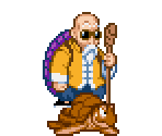 Master Roshi & Turtle - Dragon Ball: Advanced Adventure