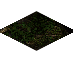 Jungle Ground - Diablo 2 / Diablo 2: Lord of Destruction