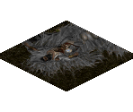 Spider Floor - Diablo 2 / Diablo 2: Lord of Destruction