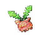 Pokémon (Cute Contest Winners) - Pokémon Ruby / Sapphire