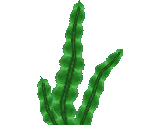 Seaweed - New Super Mario Bros.