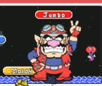 Multiplayer Explanations - WarioWare, Inc.: Mega Party Game$!