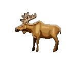 Moose - Cabela's Big Game Hunter