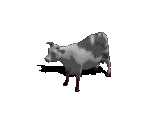 Cow - Diablo / Diablo: Hellfire
