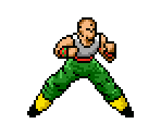 Tien - Dragon Ball Z: Legend of the Super Saiyan (JPN)