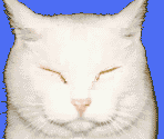 Cat Nap - WarioWare, Inc.: Mega Microgames!