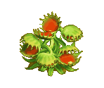 Sundew - Zombie Island