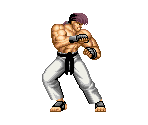 Reiji Oyama - Power Instinct 2