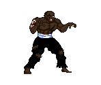 Shadow - Shadow Fighter