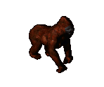 Ape - Arcanum