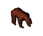 Bear - Arcanum