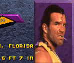 Menu Elements + Fonts - WWF WrestleMania: The Arcade Game