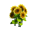 Sunflower - Zombie Island