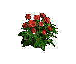 Red Roses - Zombie Island