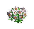 Lily - Zombie Island