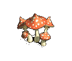 Death Cap - Zombie Island