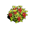 Currant - Zombie Island