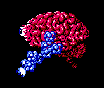 Brain Golem - Life Force / Salamander