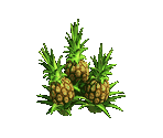 Pineapple - Zombie Island