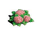Brainbage - Zombie Island