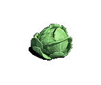 Cabbage - Zombie Island