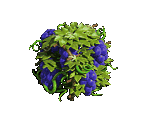 Grapes - Zombie Island