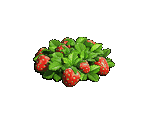 Strawberry - Zombie Island