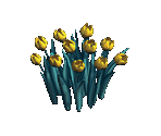 Yellow Tulip - Zombie Island