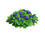 Blueberry - Zombie Island