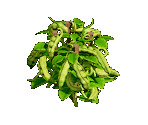 Pea - Zombie Island